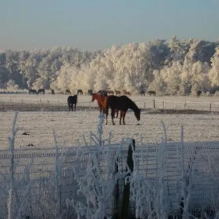 Forest Near Leenderbos بيت للعطل *