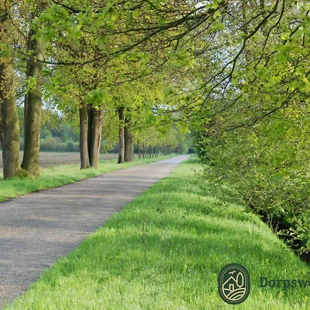Forest Near Leenderbos Leende