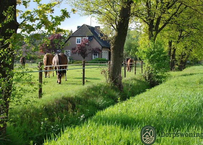 Forest Near Leenderbos * Leende