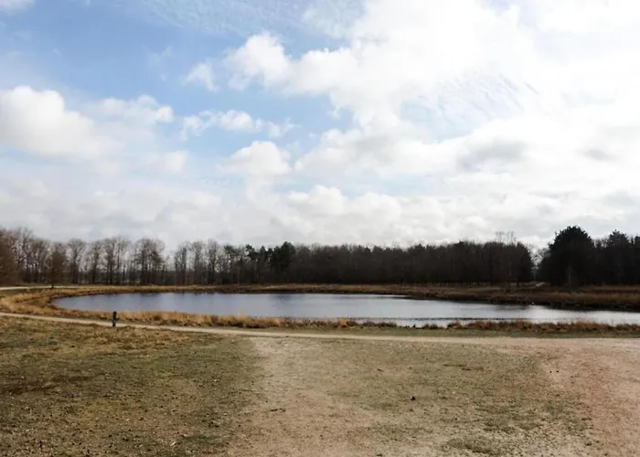 Holiday home Forest Near Leenderbos Leende
