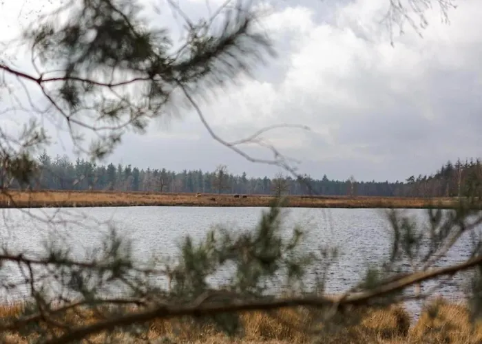 Holiday home Forest Near Leenderbos *