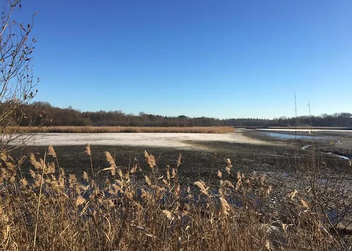 Forest Near Leenderbos Holiday home Leende
