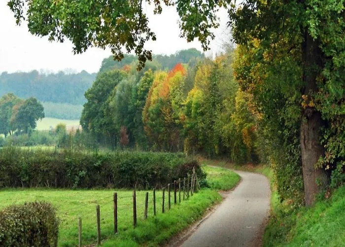Forest Near Leenderbos * Leende