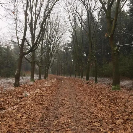 Forest Near Leenderbos Дом отдыха *