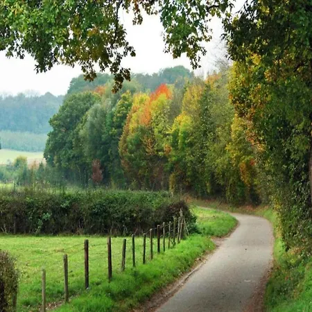 Forest Near Leenderbos * Ленде