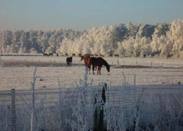 Forest Near Leenderbos Σπίτι διακοπών *