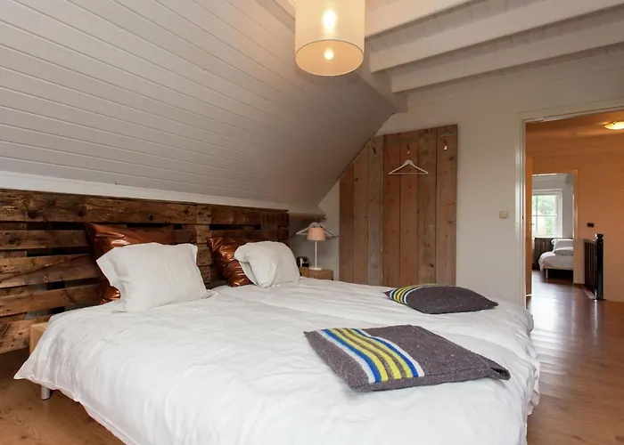 Forest Near Leenderbos *