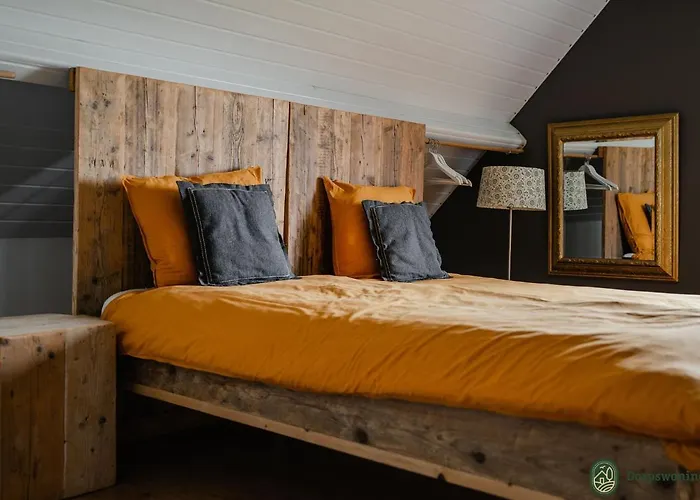 Forest Near Leenderbos Leende