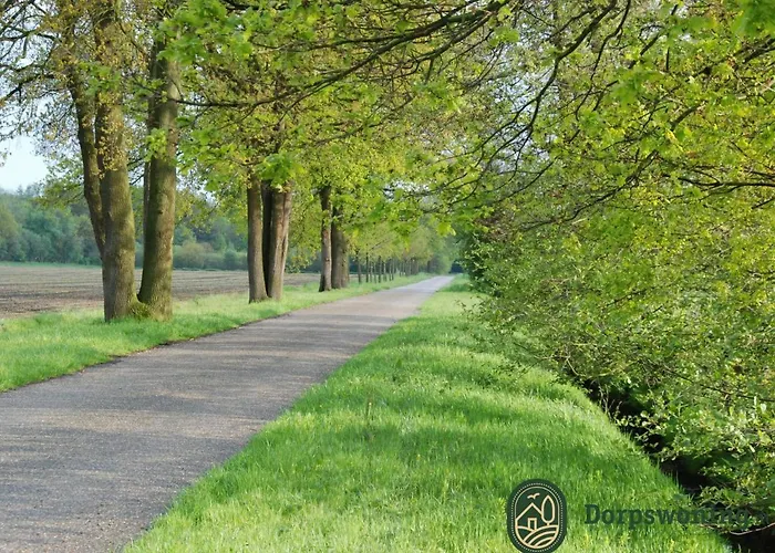 Forest Near Leenderbos Leende