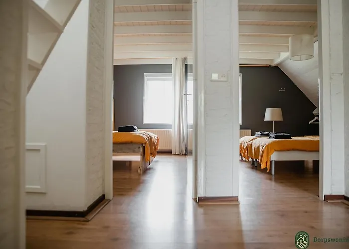 Forest Near Leenderbos *