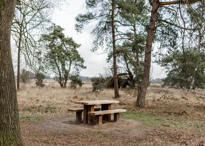 Forest Near Leenderbos * Leende