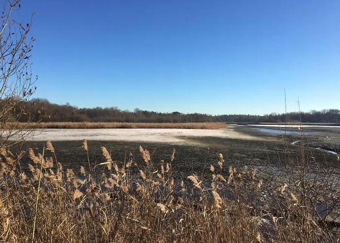 Σπίτι διακοπών Forest Near Leenderbos