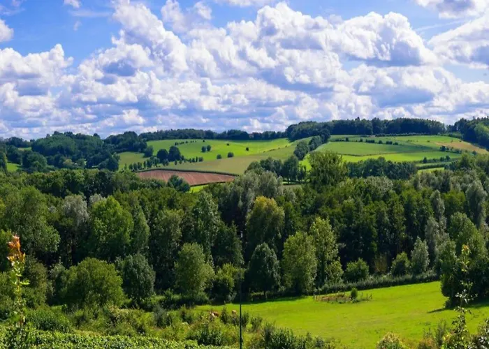 Forest Near Leenderbos Leende